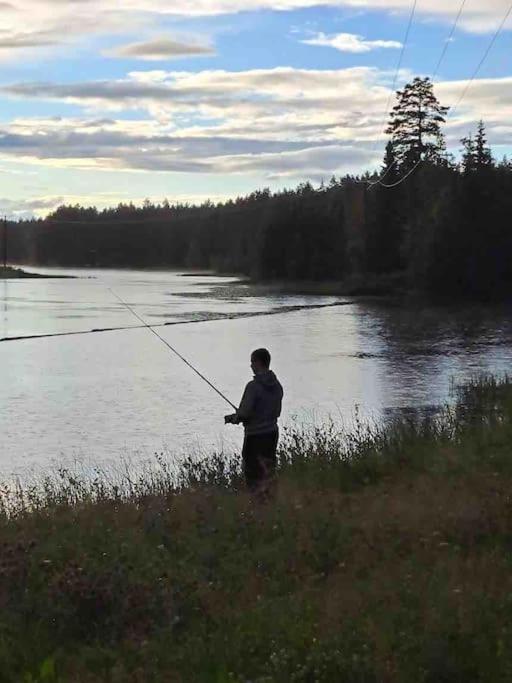 Mysig Takvåning med takfönster