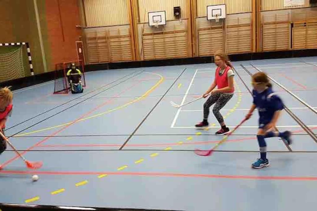 Mysig Takvåning med takfönster