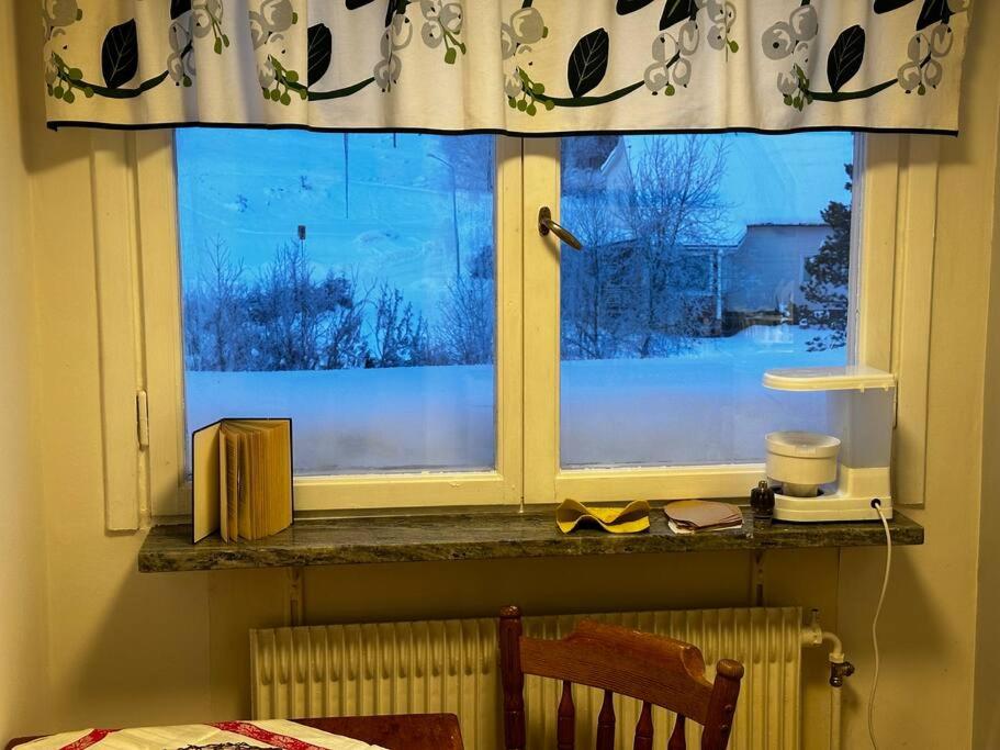 Mysig Takvåning med takfönster