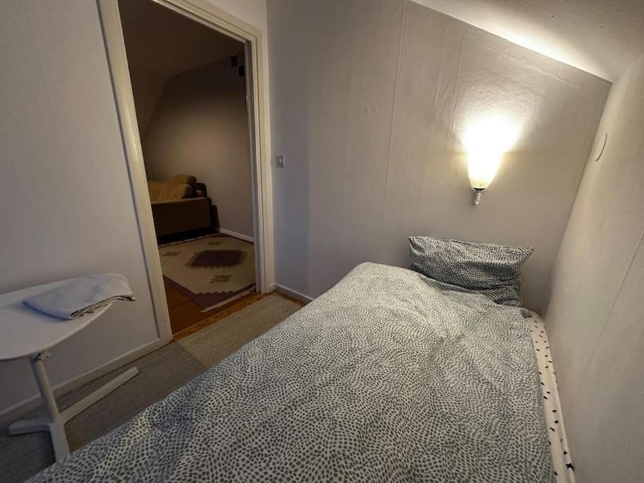 Mysig Takvåning med takfönster