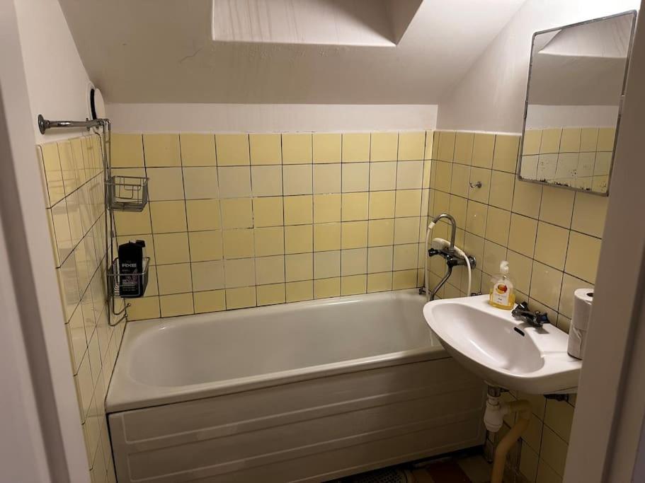 Mysig Takvåning med takfönster