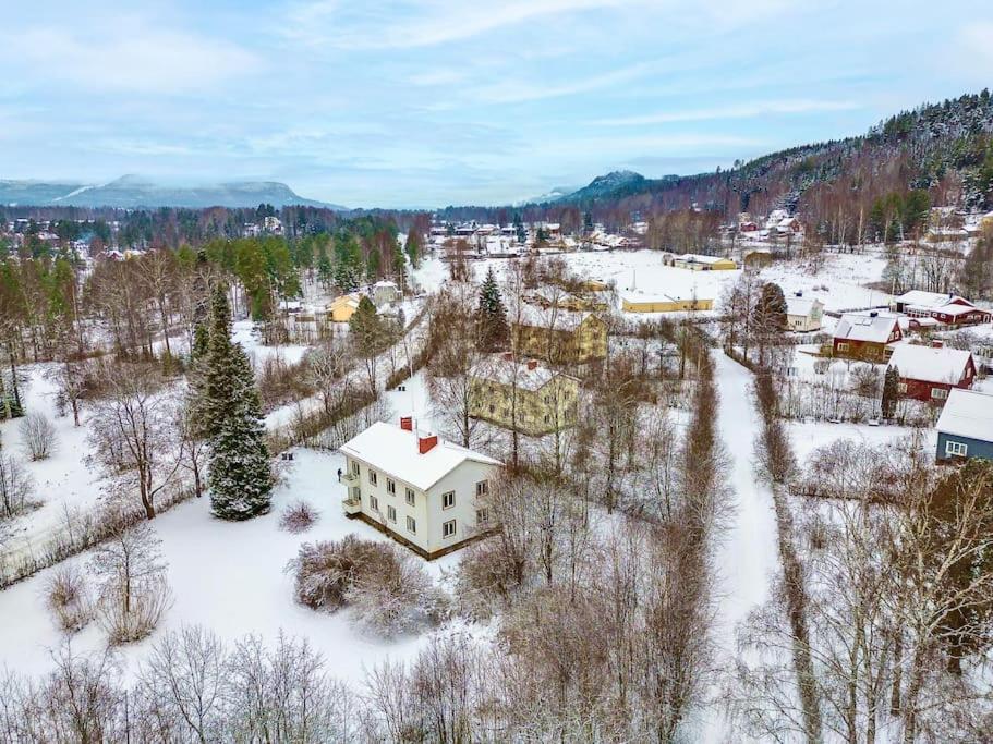 Mysig Takvåning med takfönster