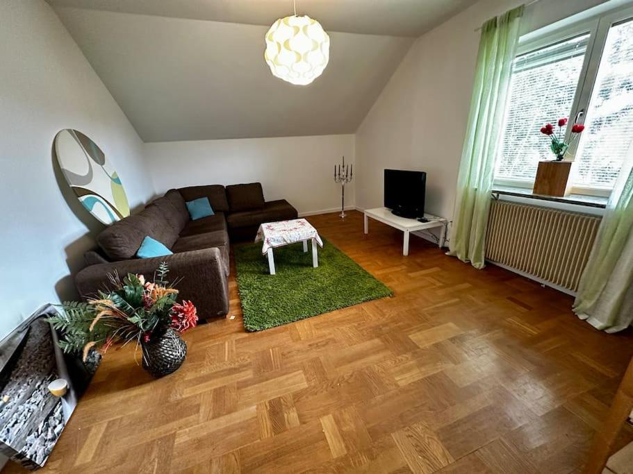 Mysig Takvåning med takfönster
