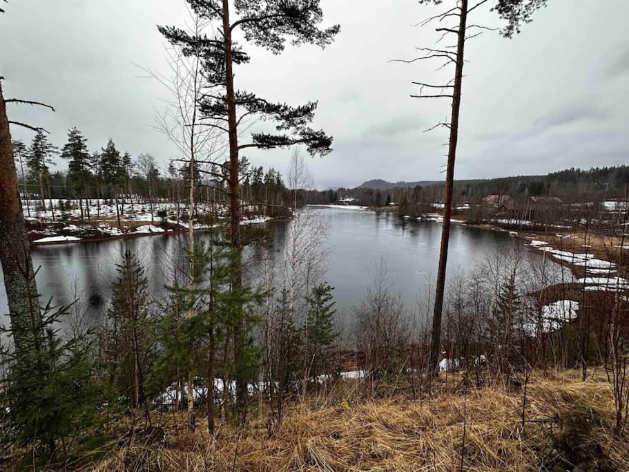 Mysig Takvåning med takfönster