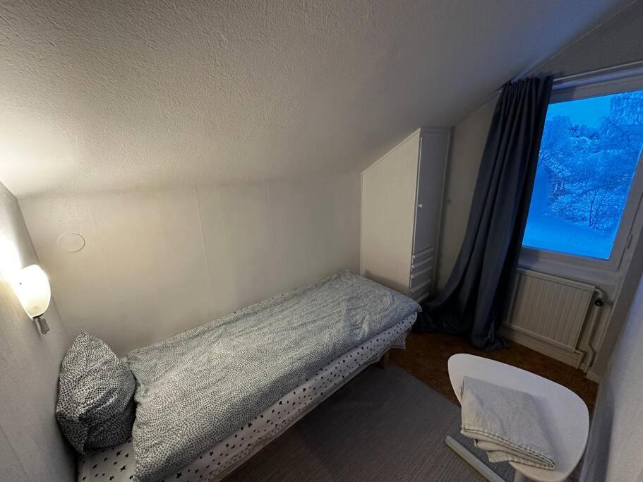 Mysig Takvåning med takfönster
