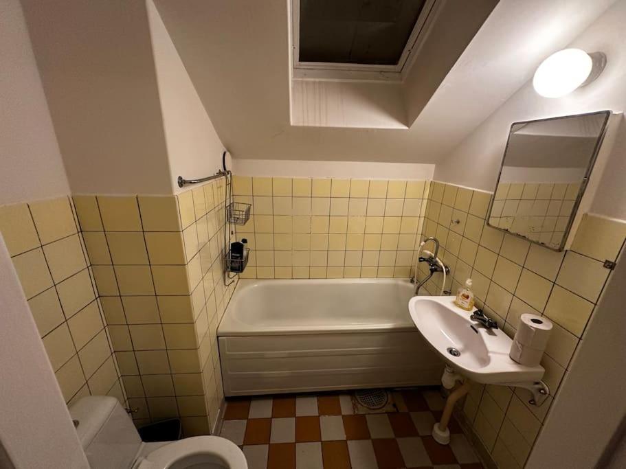 Mysig Takvåning med takfönster