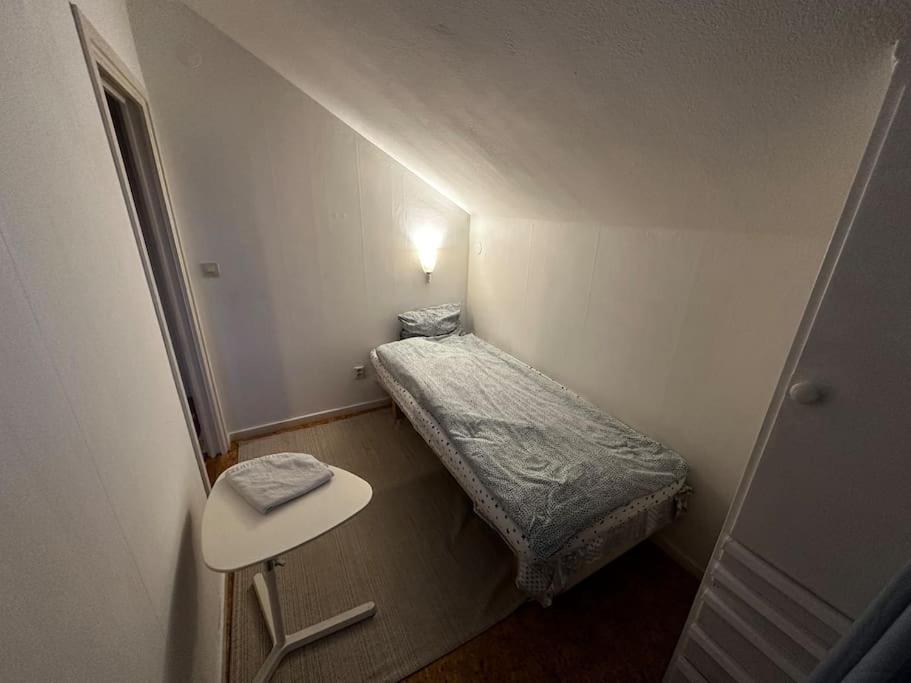 Mysig Takvåning med takfönster