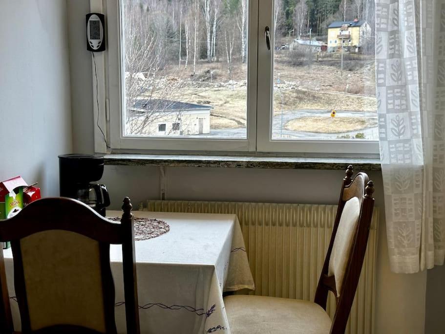 Mysig Takvåning med takfönster