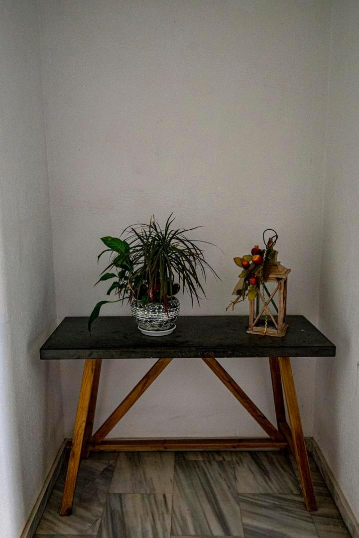Photo 50