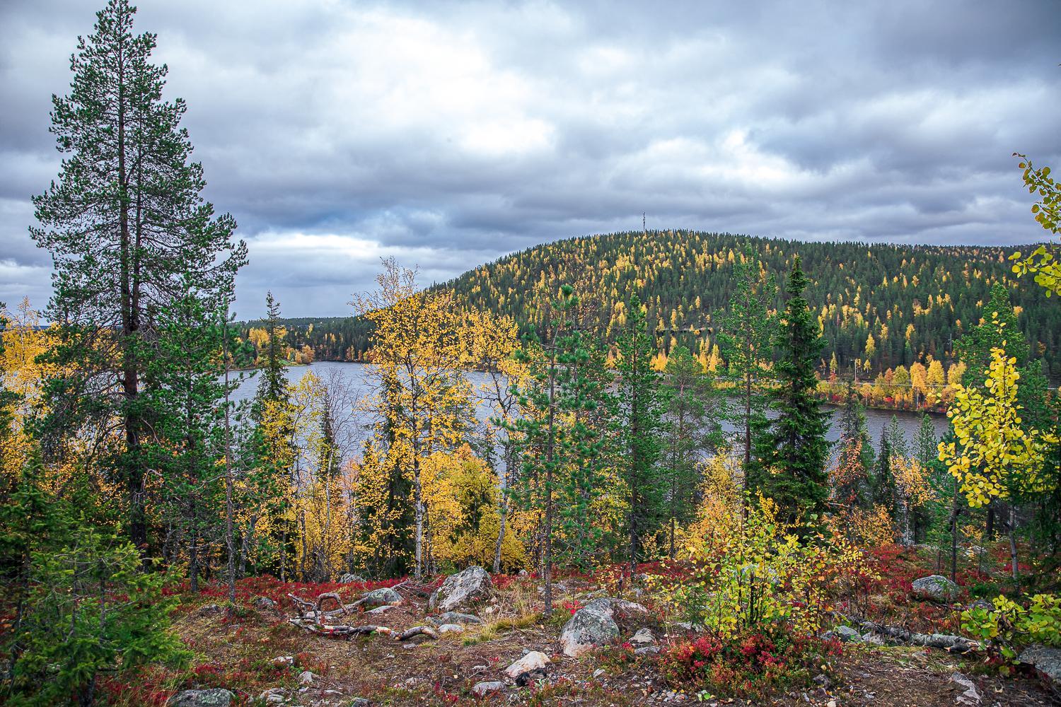 Photo 25