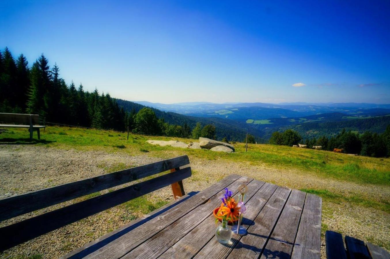 Urlaub am Glatzl Bauernhof