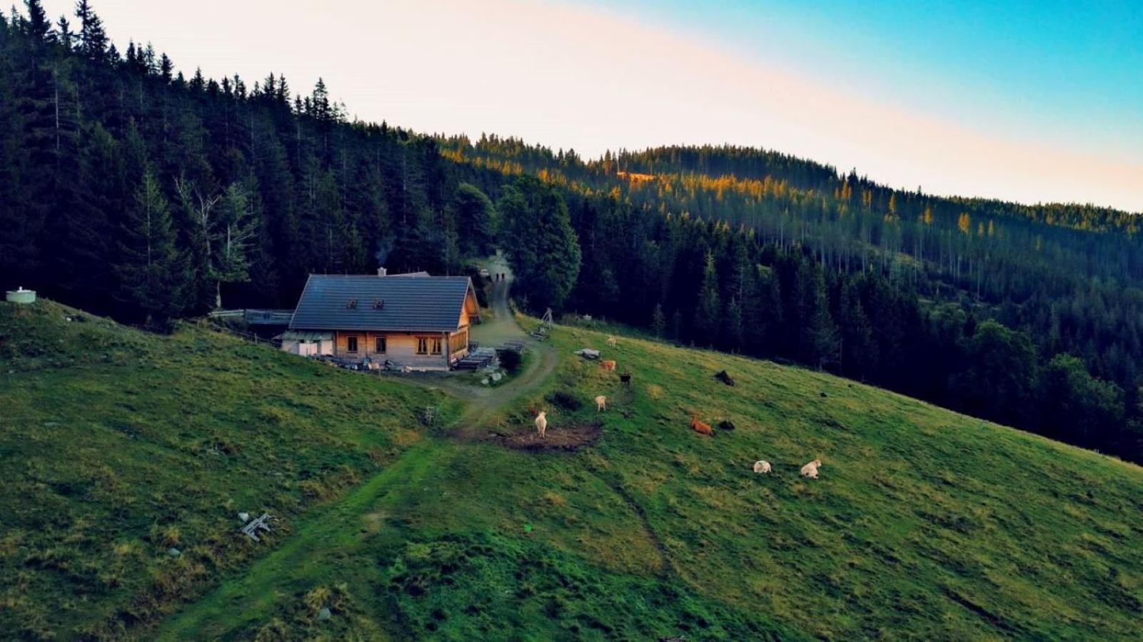Urlaub am Glatzl Bauernhof