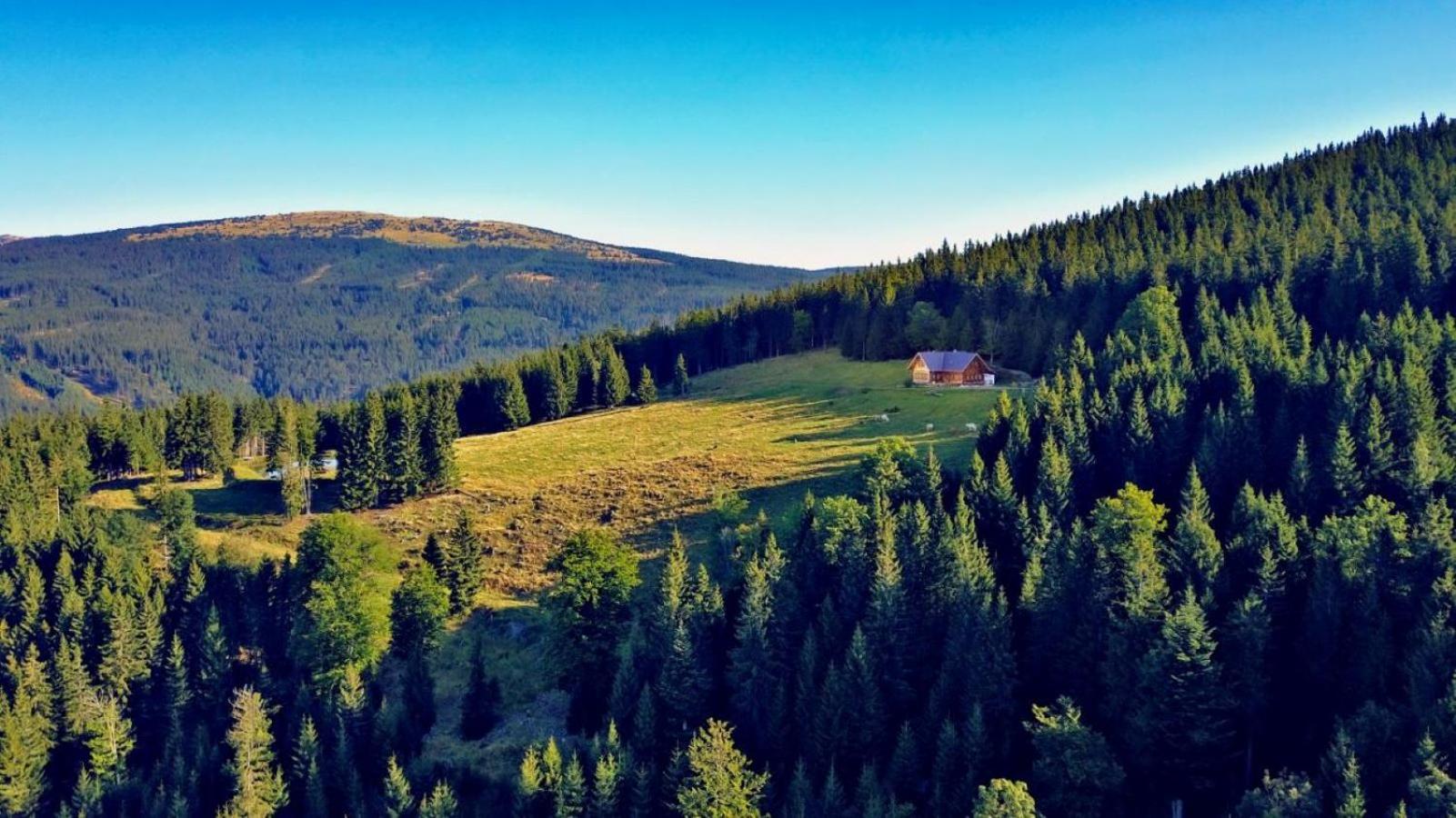 Urlaub am Glatzl Bauernhof