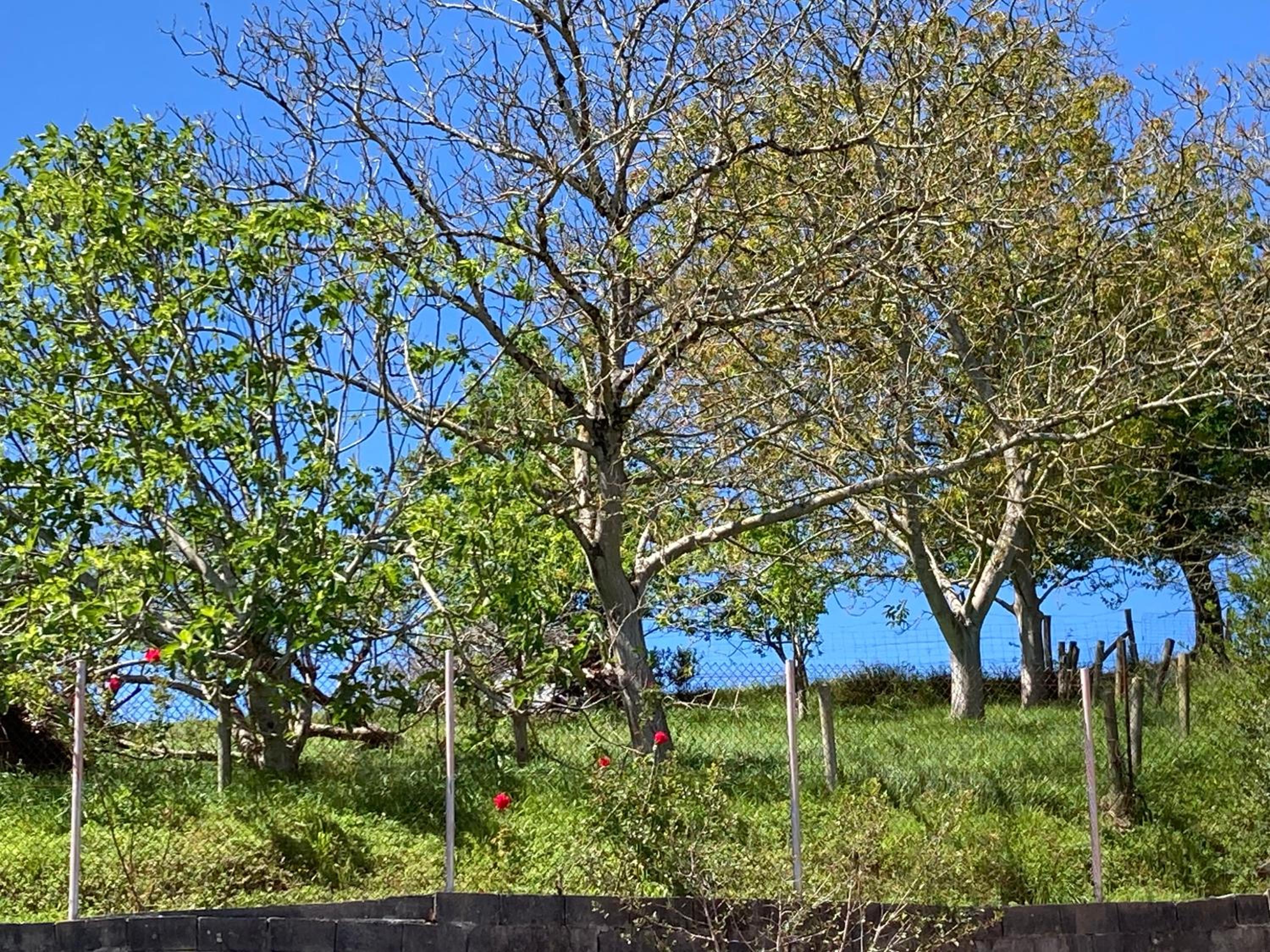 Casa tranquila