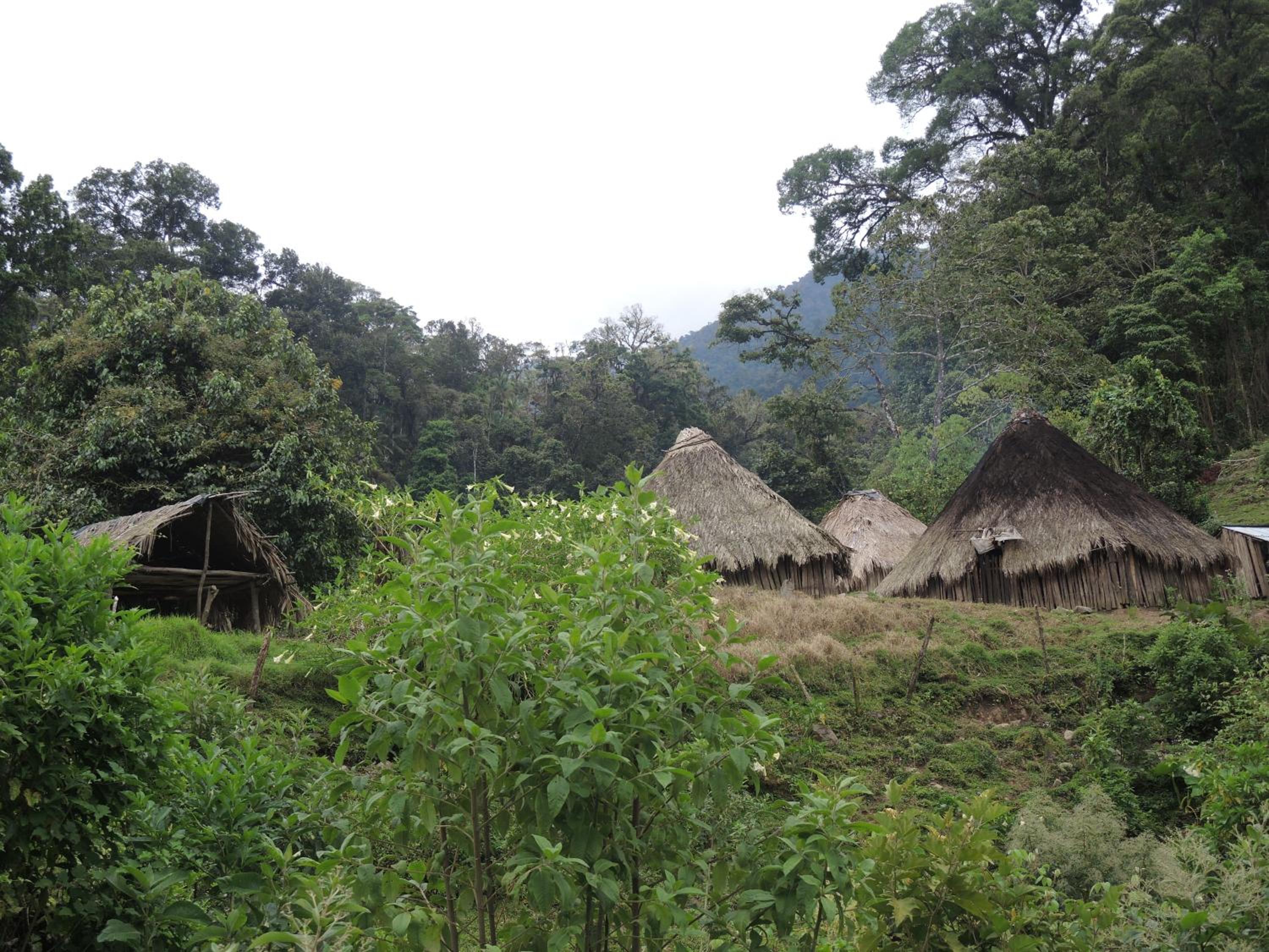 Casa Colibrí