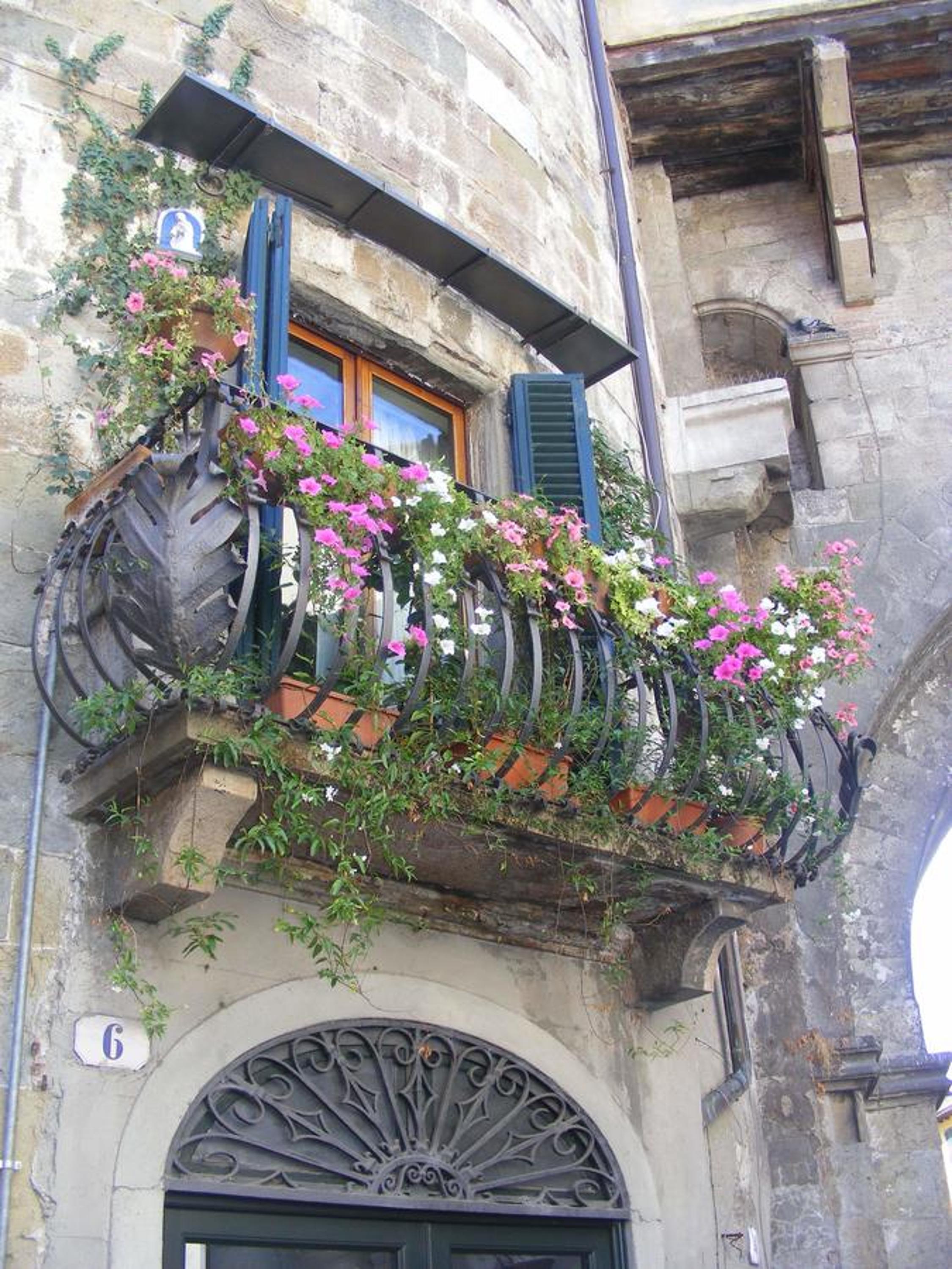 Photo 46