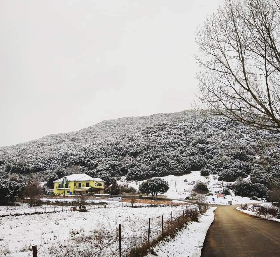 Guesthouse Bizani