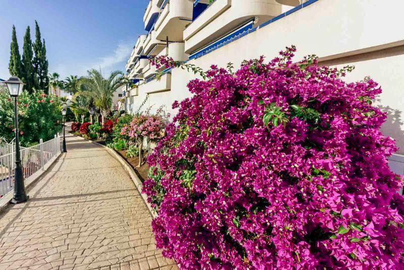 Large Direct Ocean Front 2bd Apartment