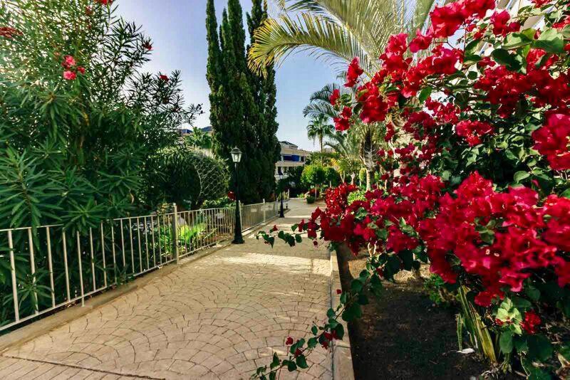 Large Direct Ocean Front 2bd Apartment