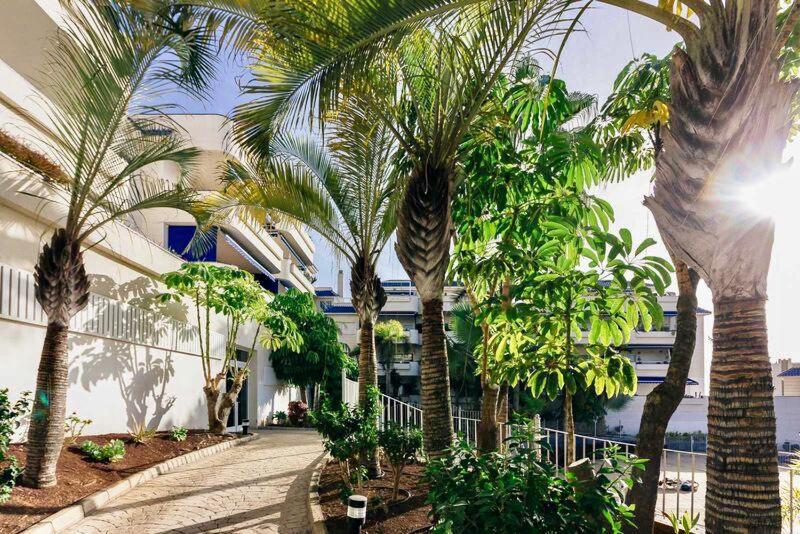 Large Direct Ocean Front 2bd Apartment