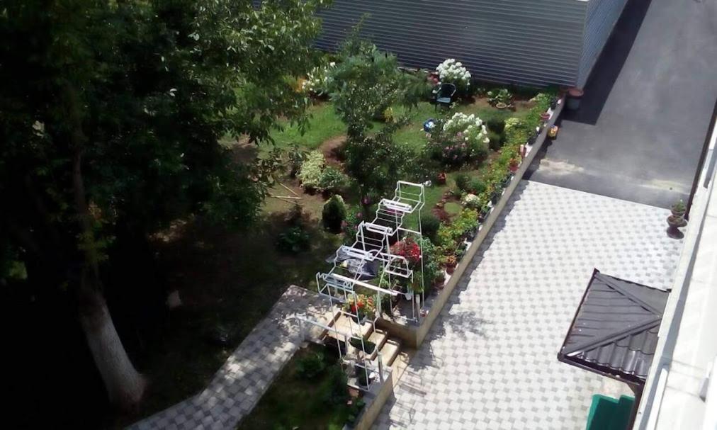 NG Natural Garden