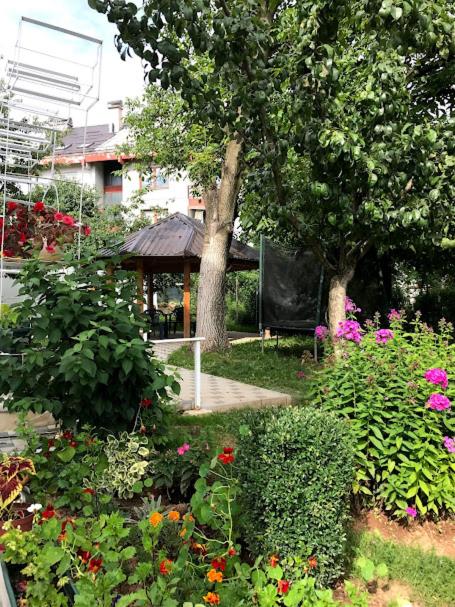 NG Natural Garden