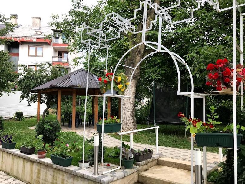 NG Natural Garden
