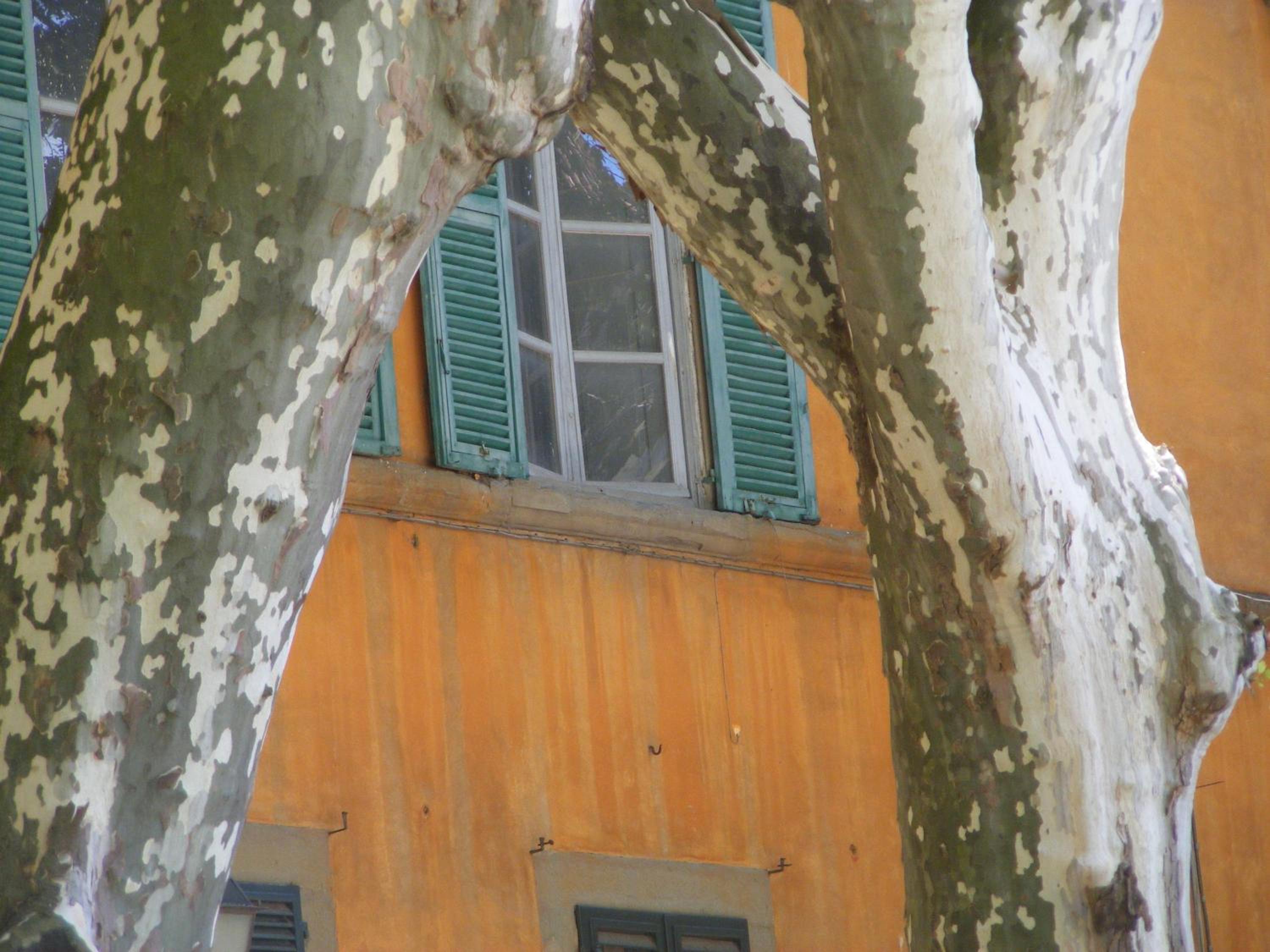 Photo 45