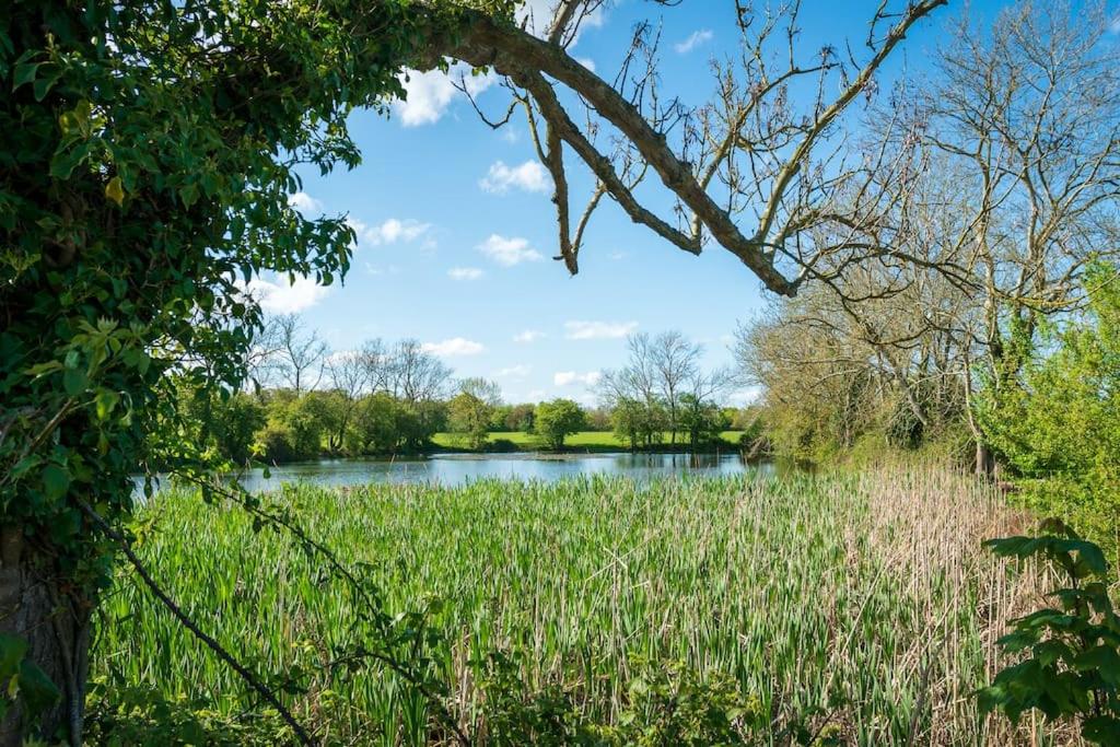 Long Range 2, Henham Park Nr Southwold view 5