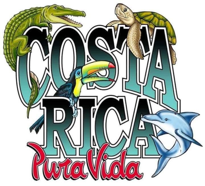 Casa Mona, Jungle vibes adults only
