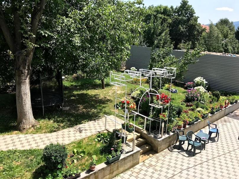 NG Natural Garden