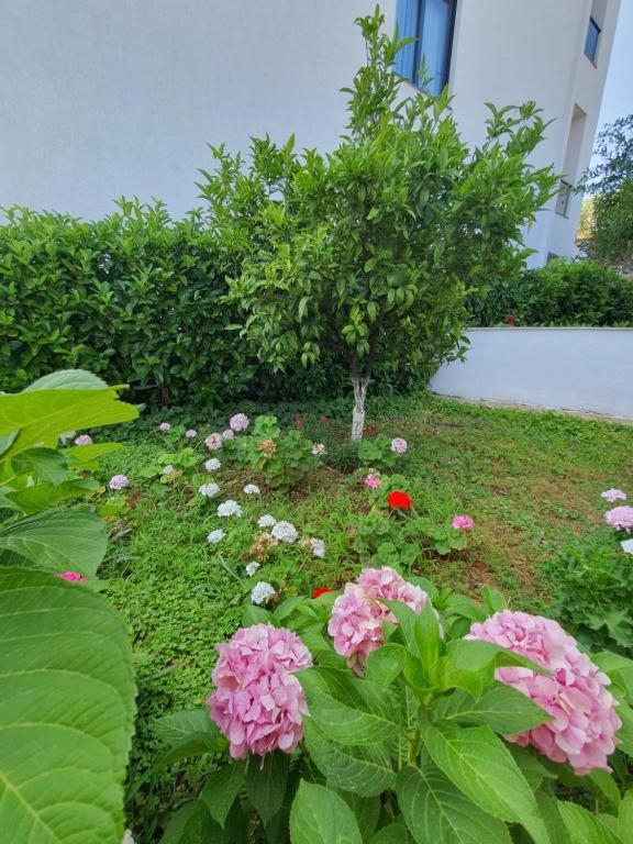 Vila Hysaj