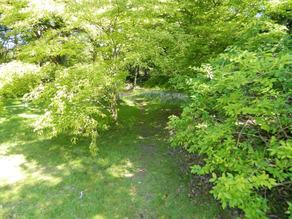 River Cottage a country retreat in wooded gardens view 3