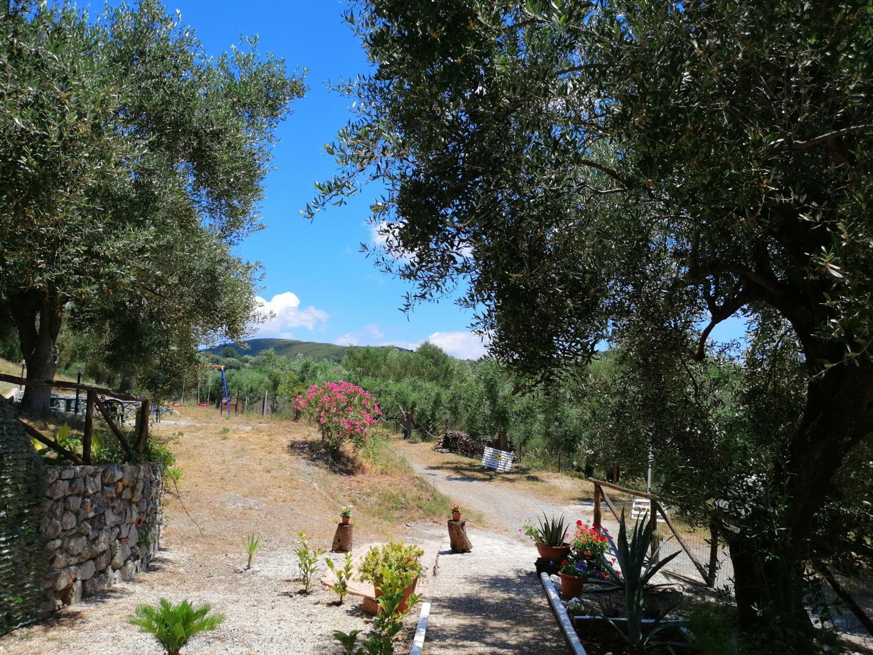 Photo 46