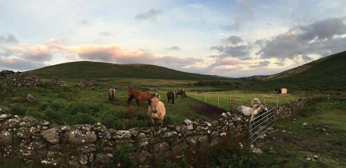 Idyllic Dartmoor Cottage