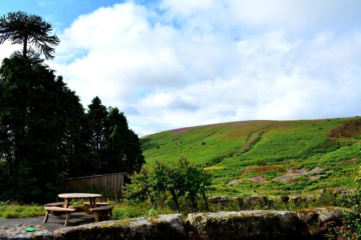 Idyllic Dartmoor Cottage