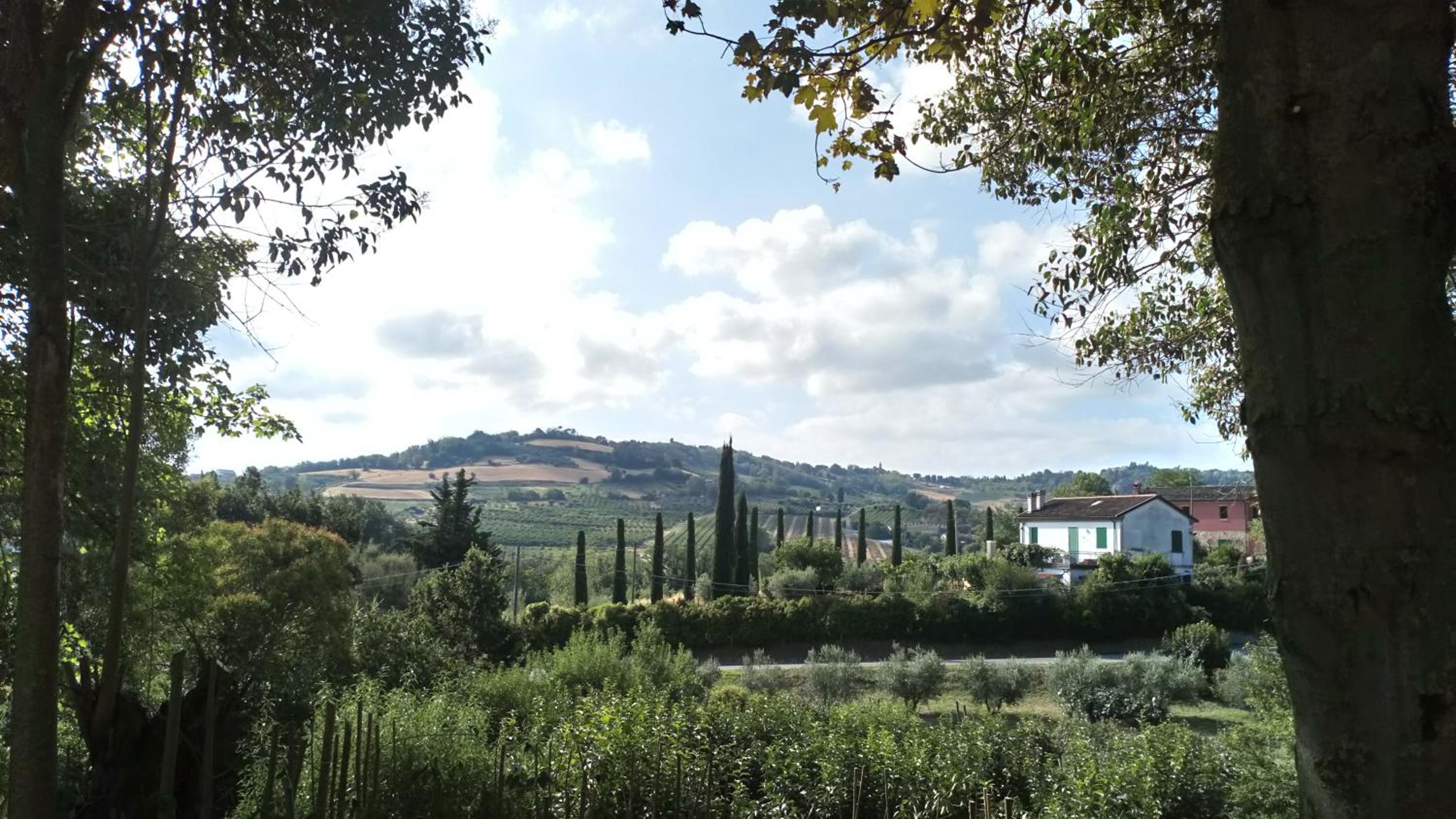 other