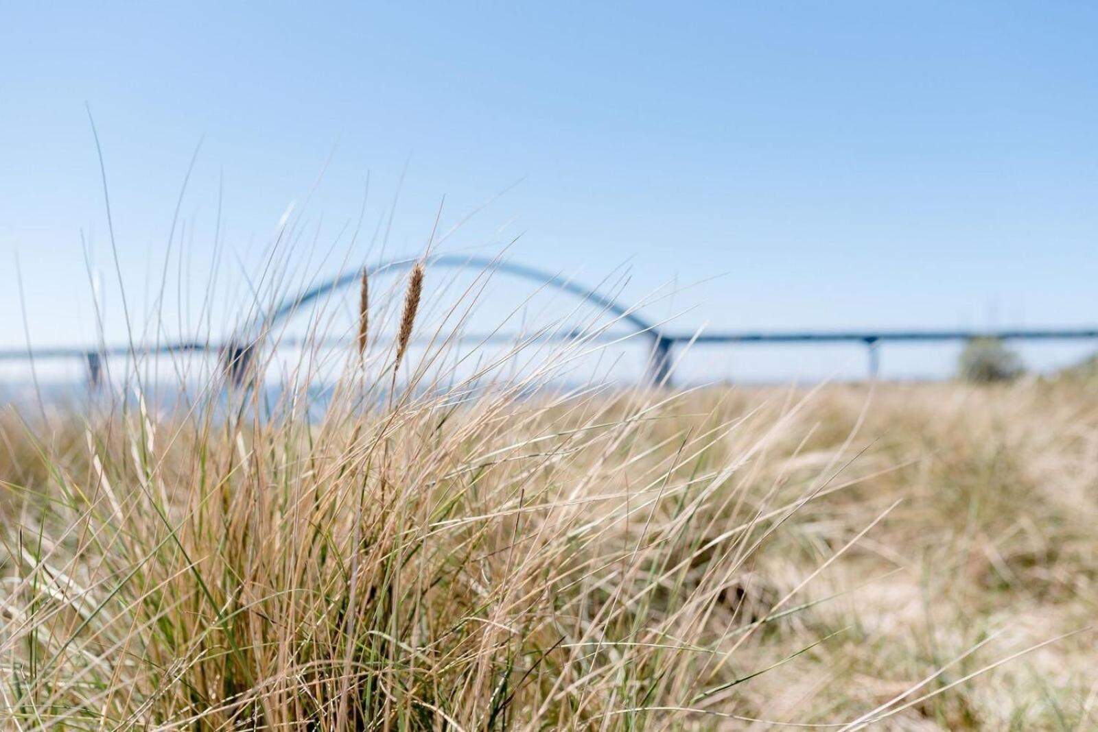 Ferienhaus Brückenblick 12 A - direkt am Meer