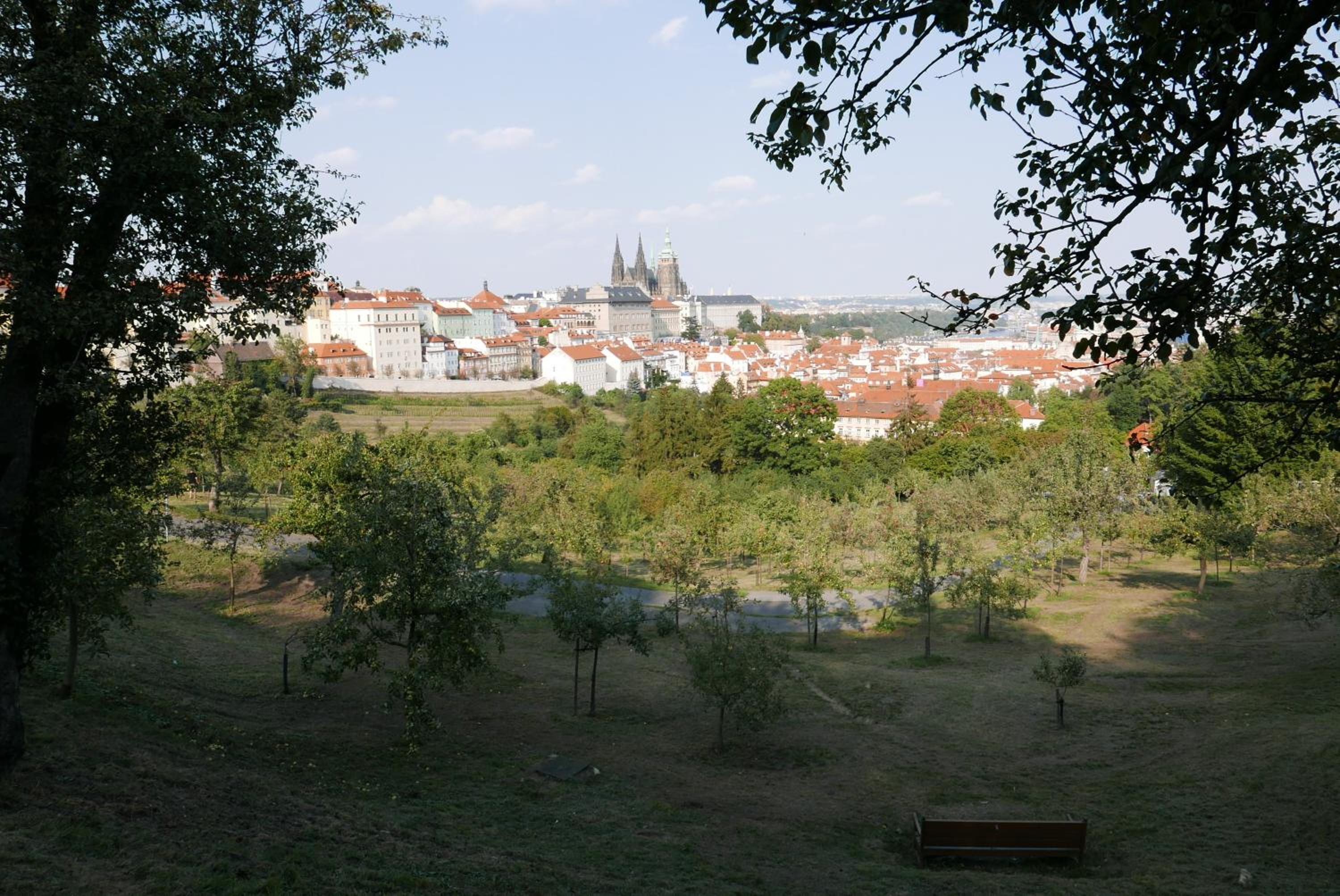 Grace Apartment by Prague Castle