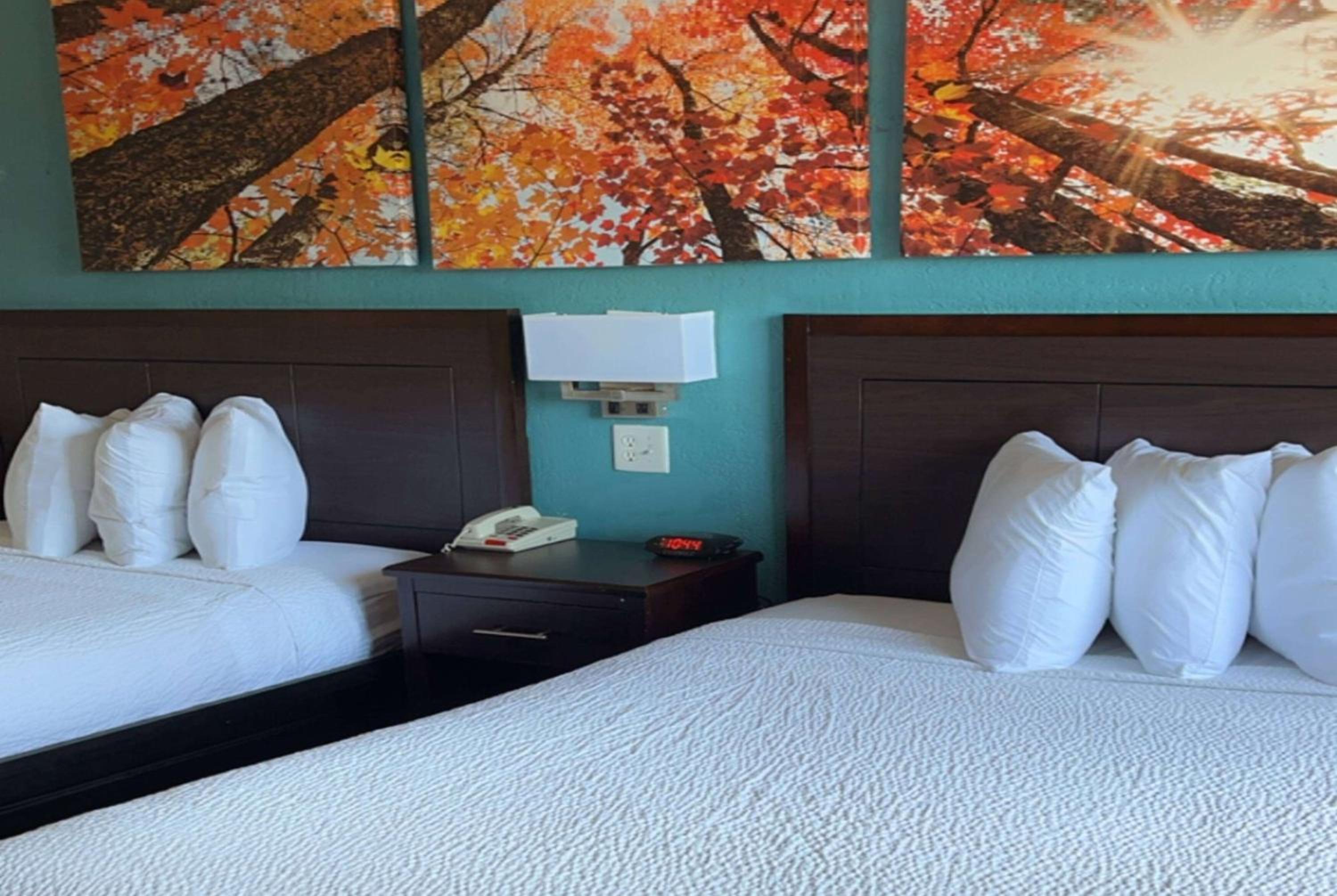 Days Inn & Suites by Wyndham Springfield on I-44 view 3