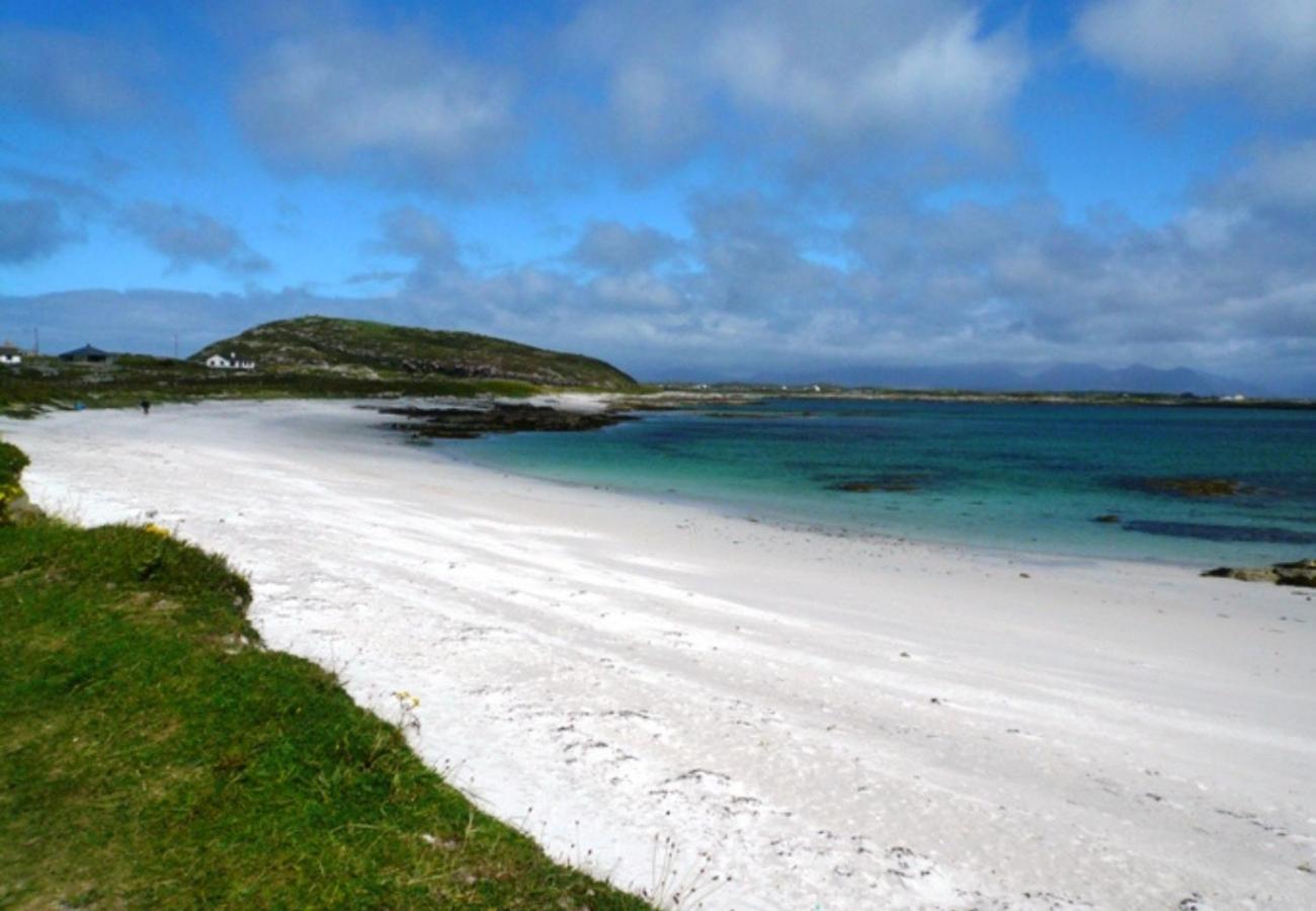 Rugosa, Ballyconneely