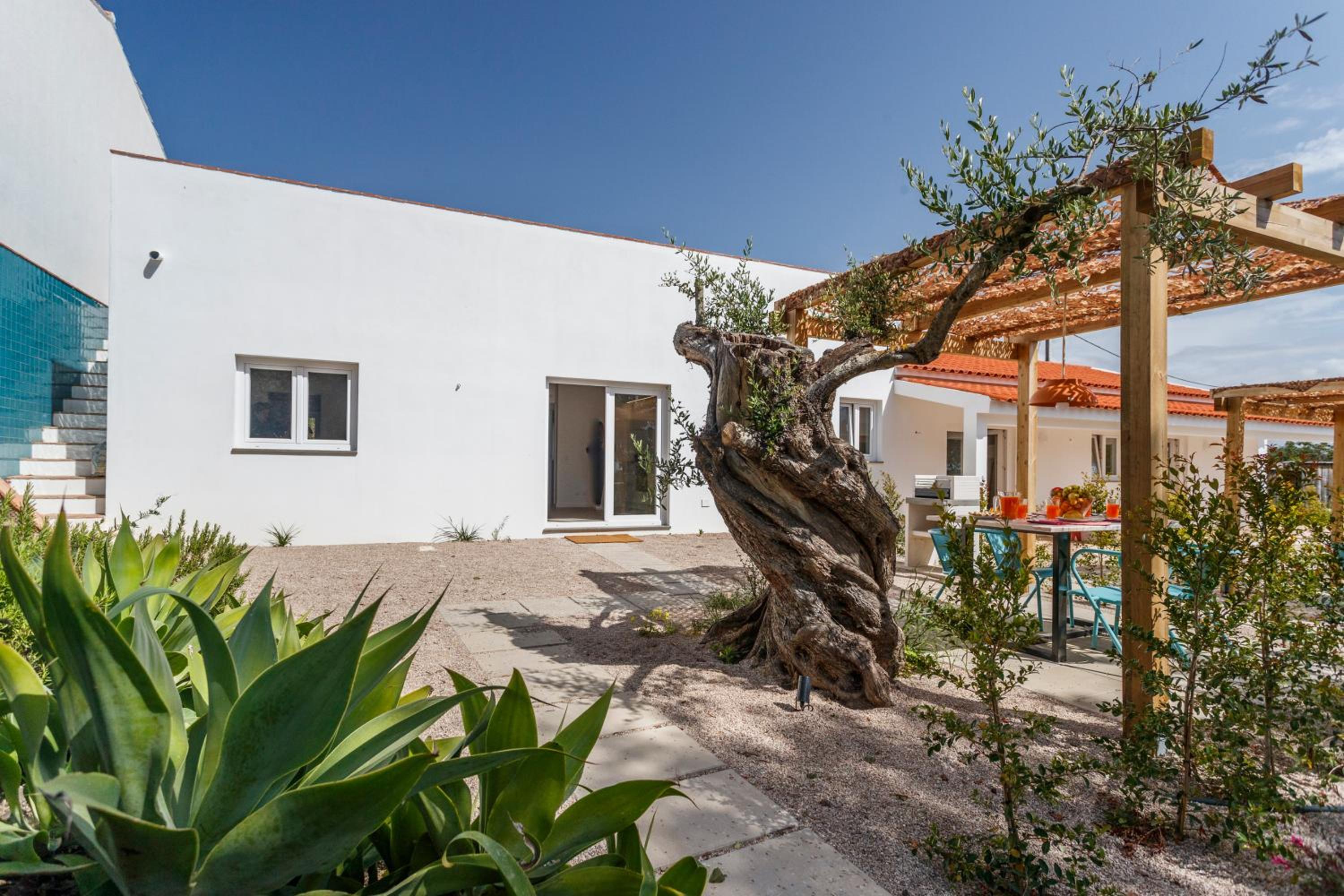 Photo 222