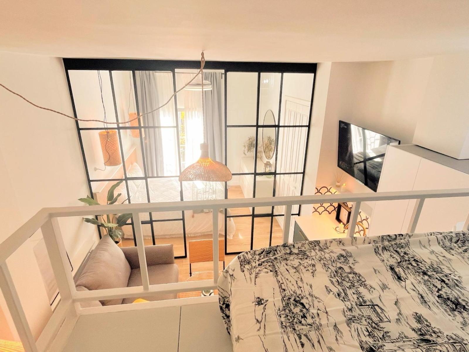 Lola Suite
