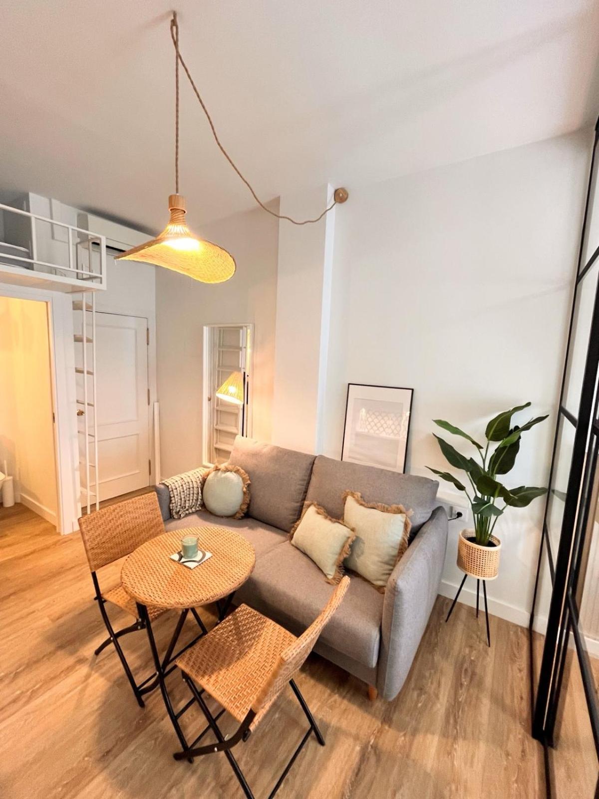 Lola Suite