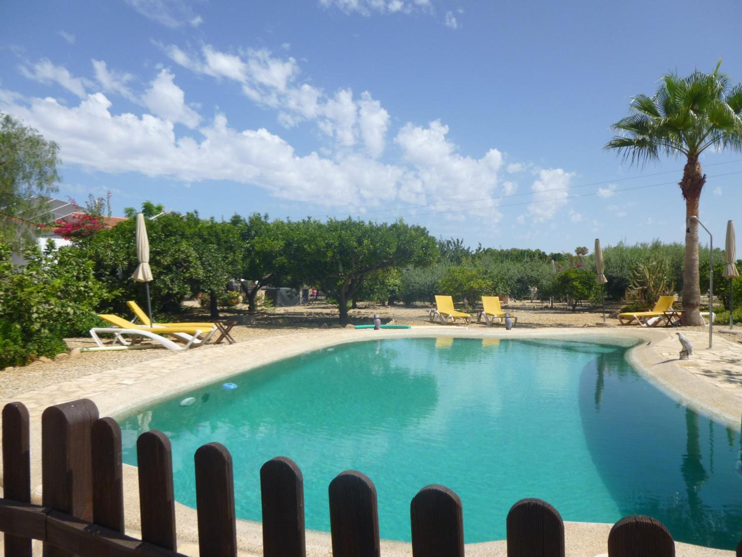 Finca Arboleda view 5