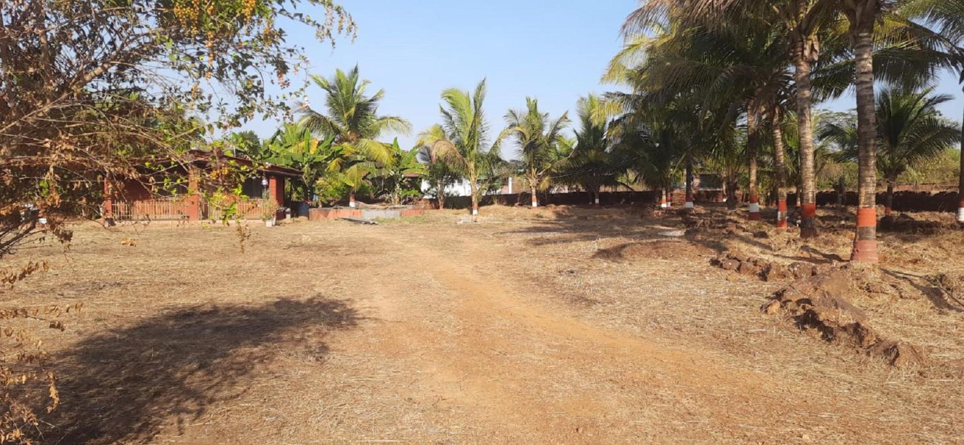 Arpita FarmStay