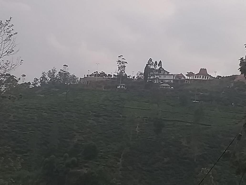 T Bungalow
