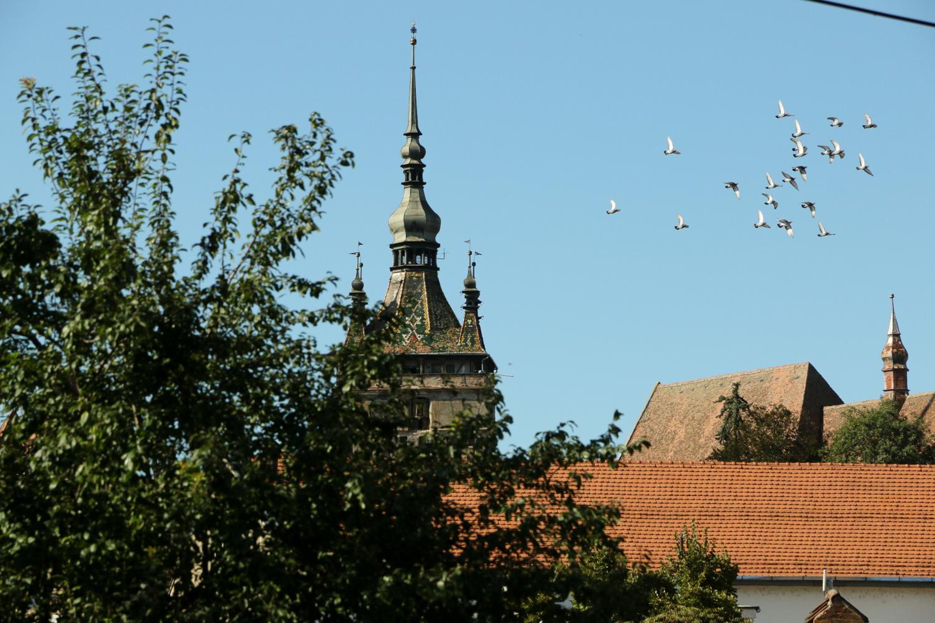 Photo 27