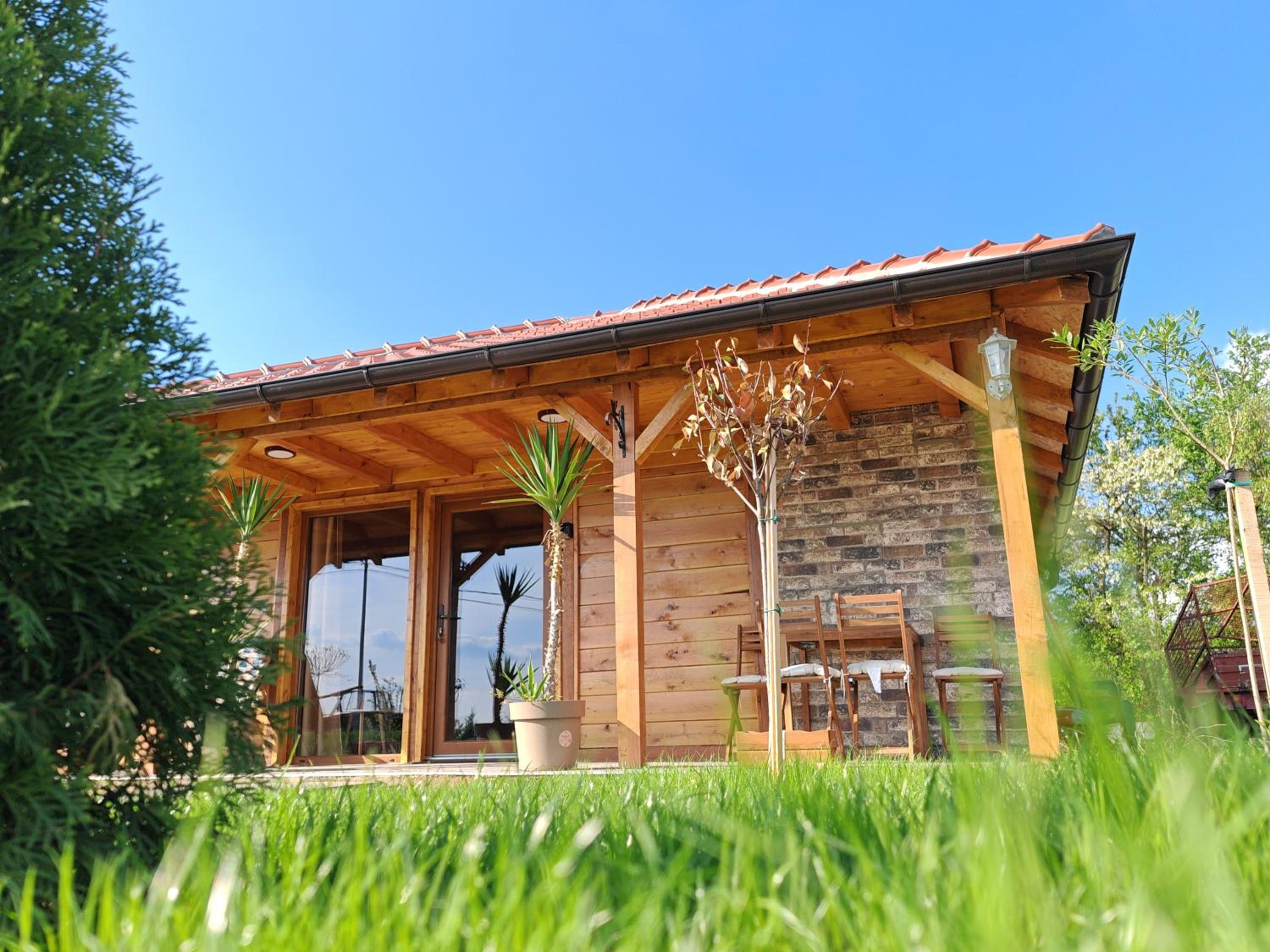 Apartman Dača Banja Ždrelo view 4