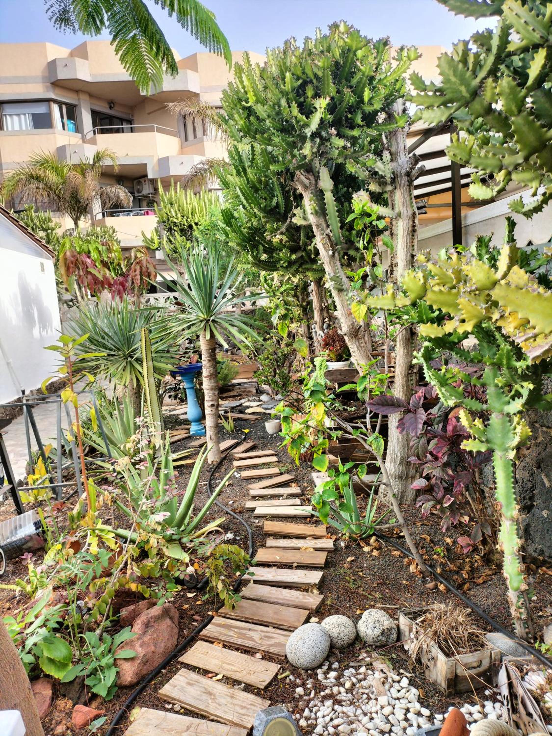 Apartamento Diamar